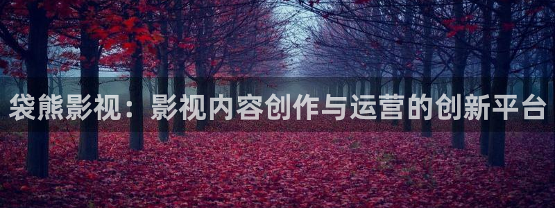 青柠成人影院：袋熊影视：影视内容创作与运营的创新平台