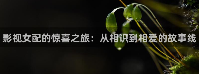 青柠影院免费观看电视剧高清版：影视女配的惊喜之旅：从相识到相爱的故事线