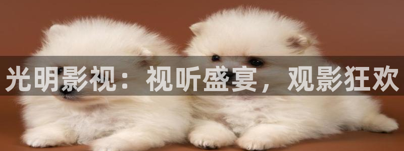 青柠影院番茄影院：光明影视：视听盛宴，观影狂欢