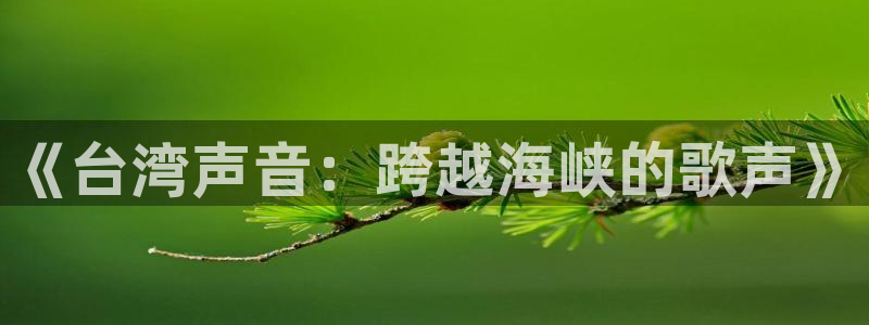 青柠在线影视：《台湾声音：跨越海峡的歌声》