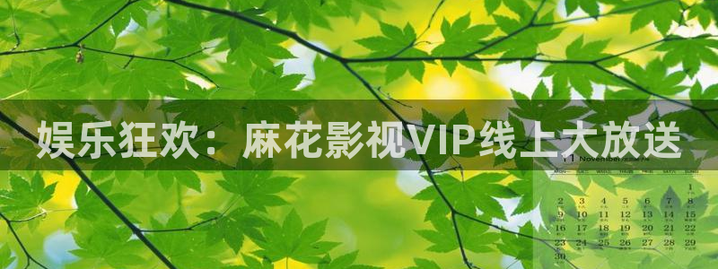 青柠公寓：娱乐狂欢：麻花影视VIP线上大放送