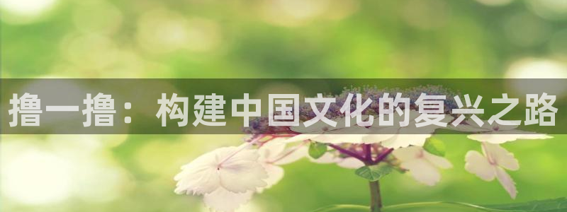 青柠影视免费：撸一撸：构建中国文化的复兴之路