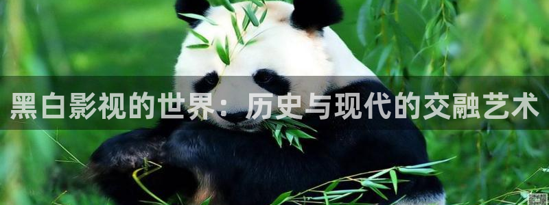 在线观看青柠影院：黑白影视的世界：历史与现代的交融艺术